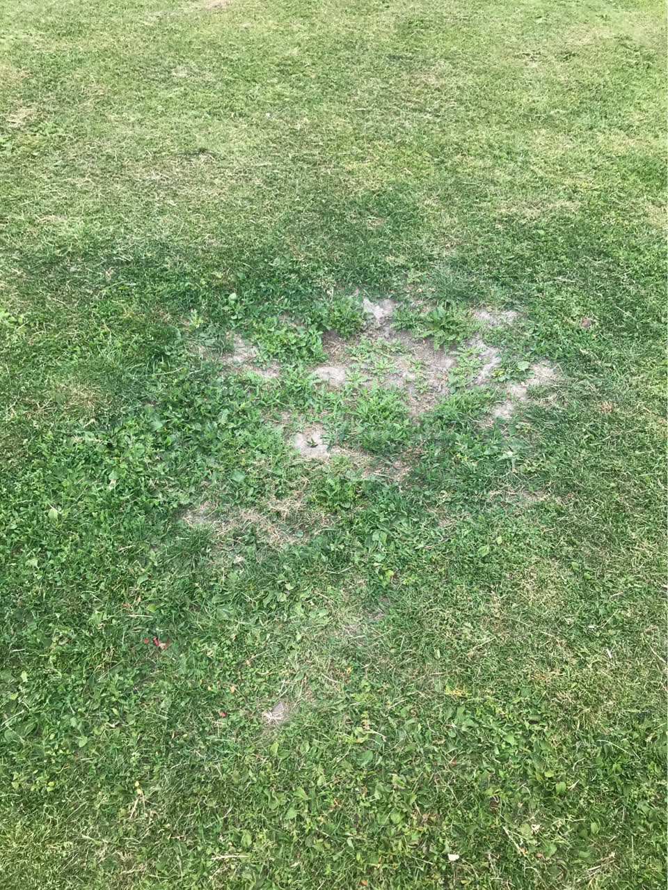 The photograph attached to this parks report