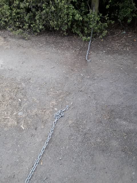 Parks, a report photo