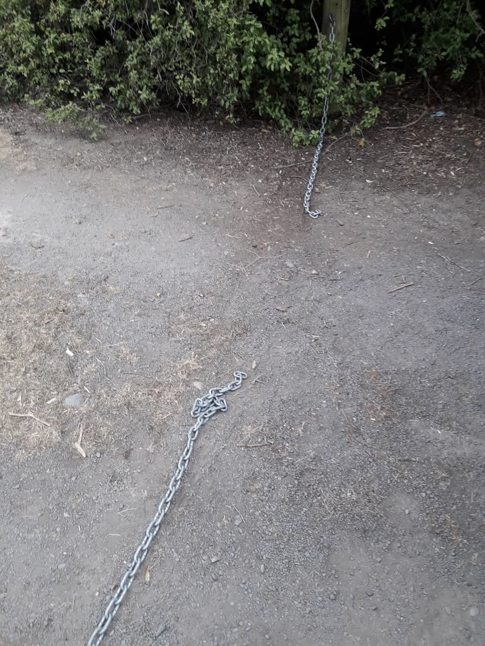 The photograph attached to this parks report