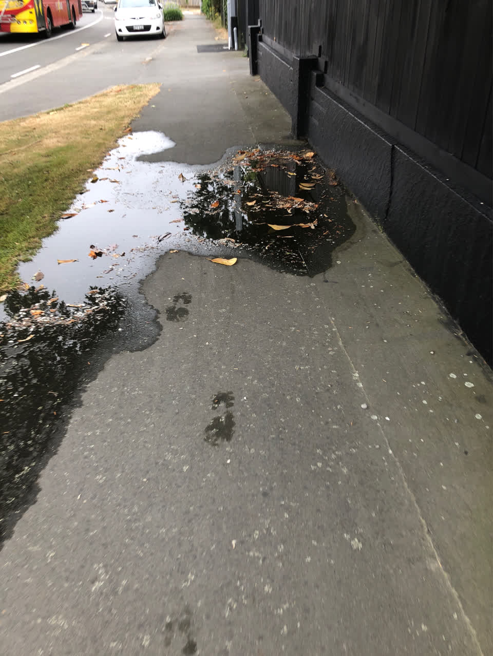 The photograph attached to this flooding report