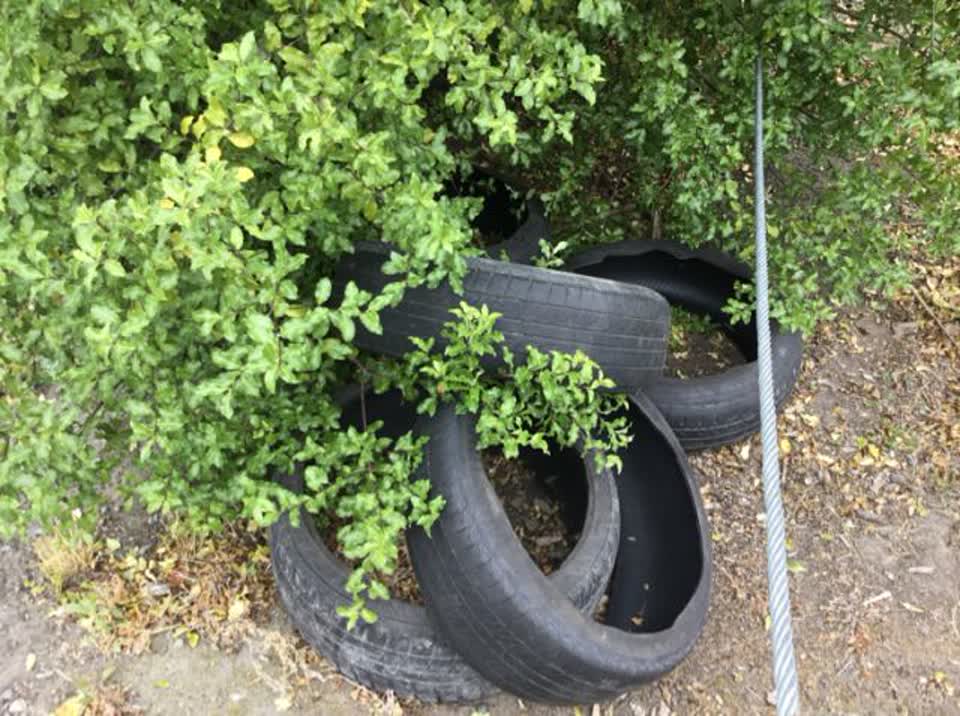 The photograph attached to this rubbish/recycling report