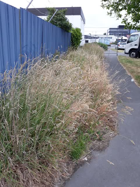 Roading/Streets, a report photo