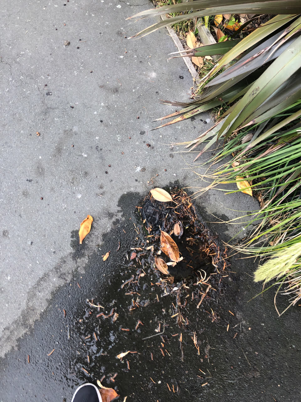 The photograph attached to this water supply report