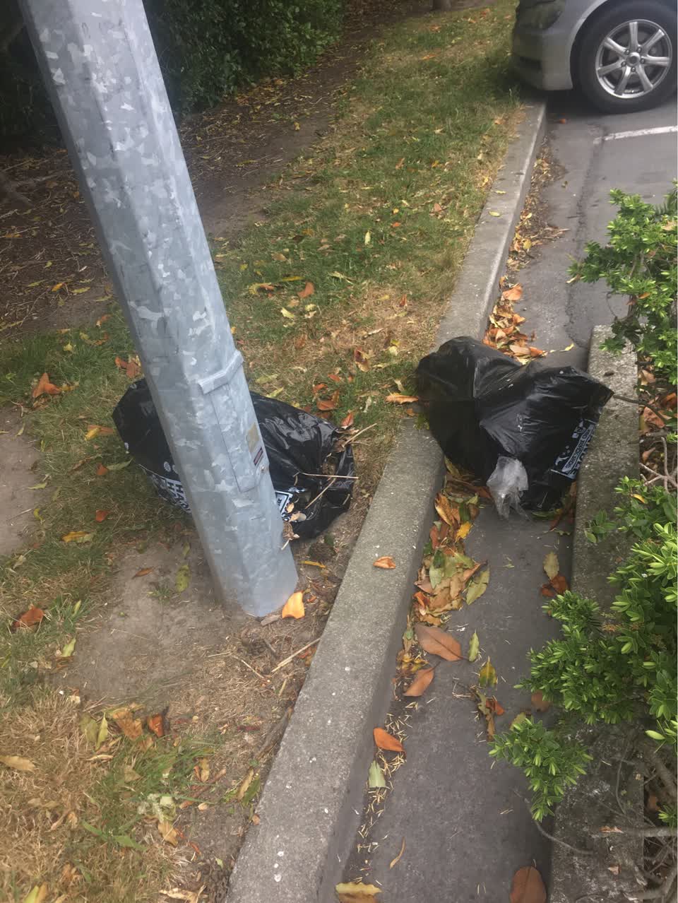 The photograph attached to this rubbish/recycling report