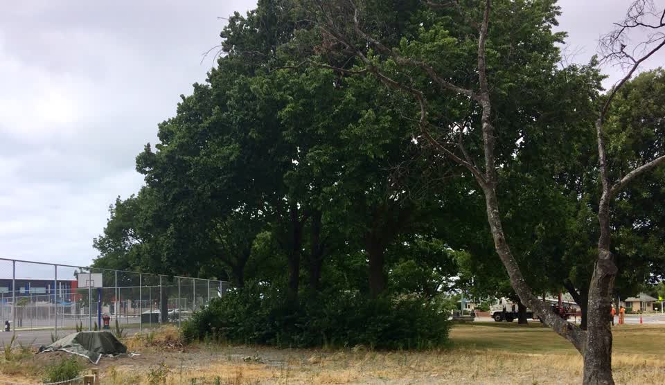 The photograph attached to this parks report