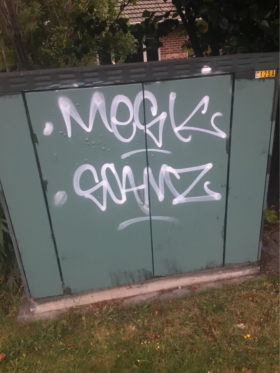 The photograph attached to this graffiti report