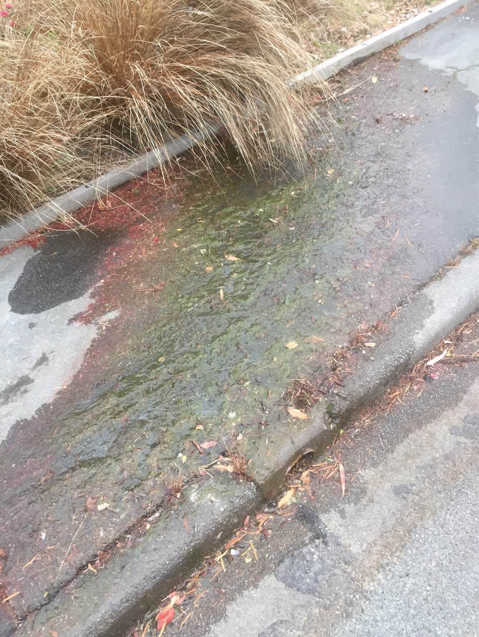 The photograph attached to this water supply report