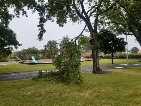 Parks — a report photo