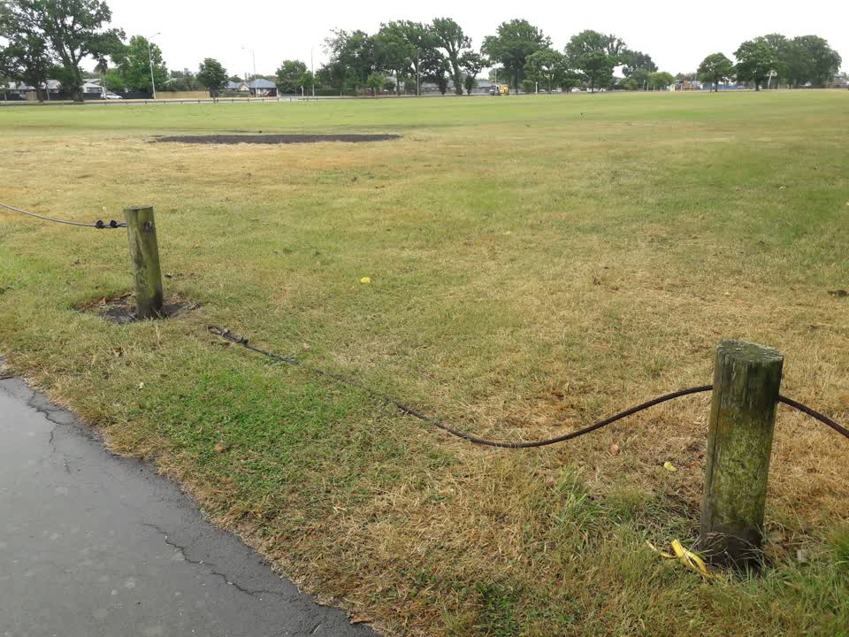 The photograph attached to this parks report