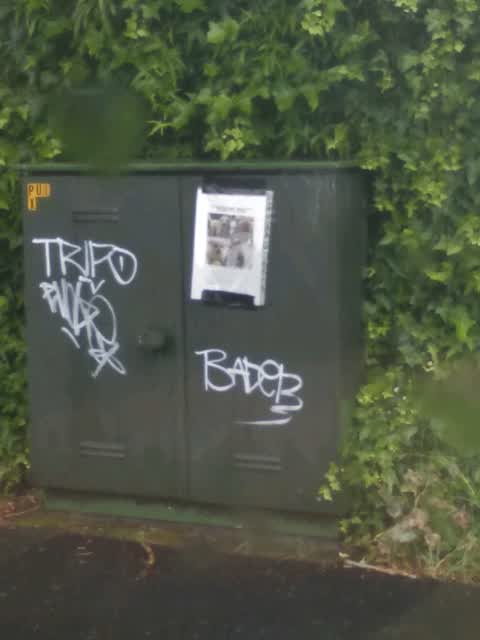 Graffiti, a report photo