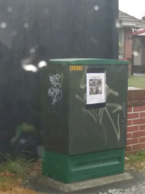 Graffiti, a report photo