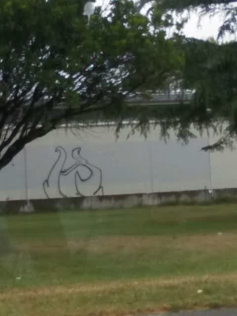 Graffiti, a report photo
