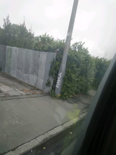 Graffiti, a report photo