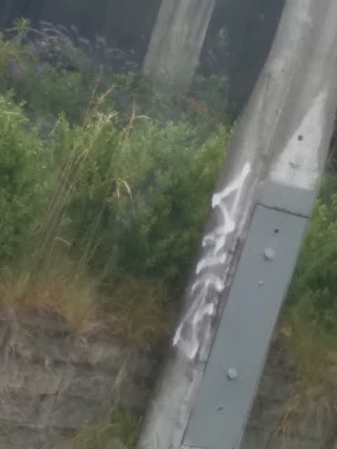 Graffiti, a report photo