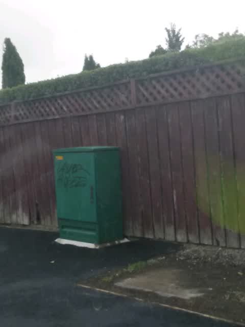 Graffiti, a report photo