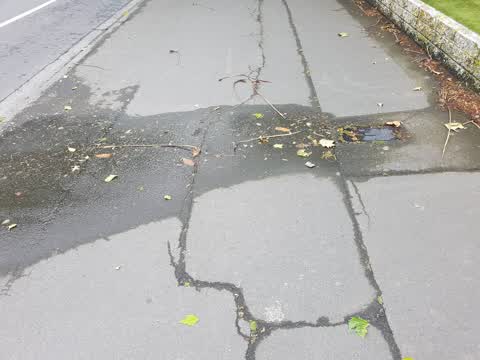 Wastewater/Stormwater, a report photo