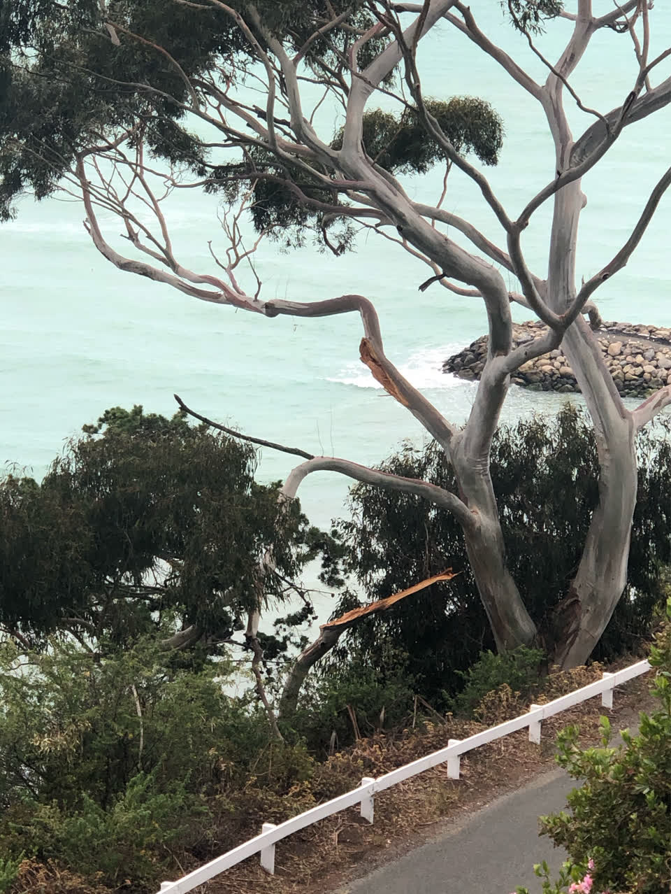The photograph attached to this parks report