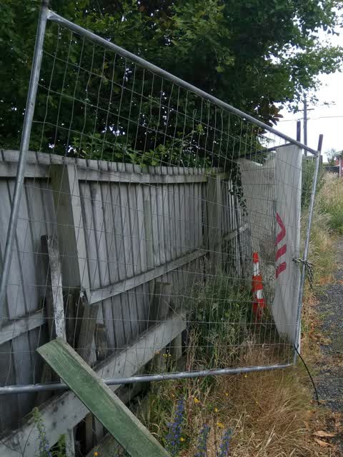 Parks, a report photo