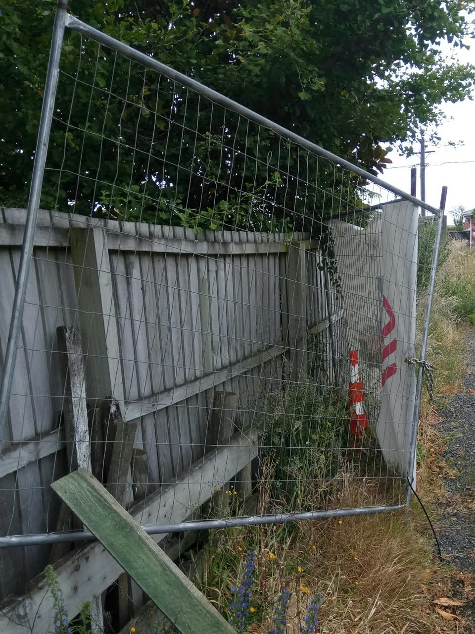 The photograph attached to this parks report