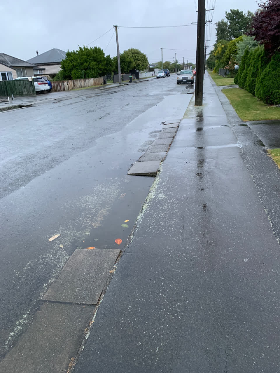 The photograph attached to this roading/streets report