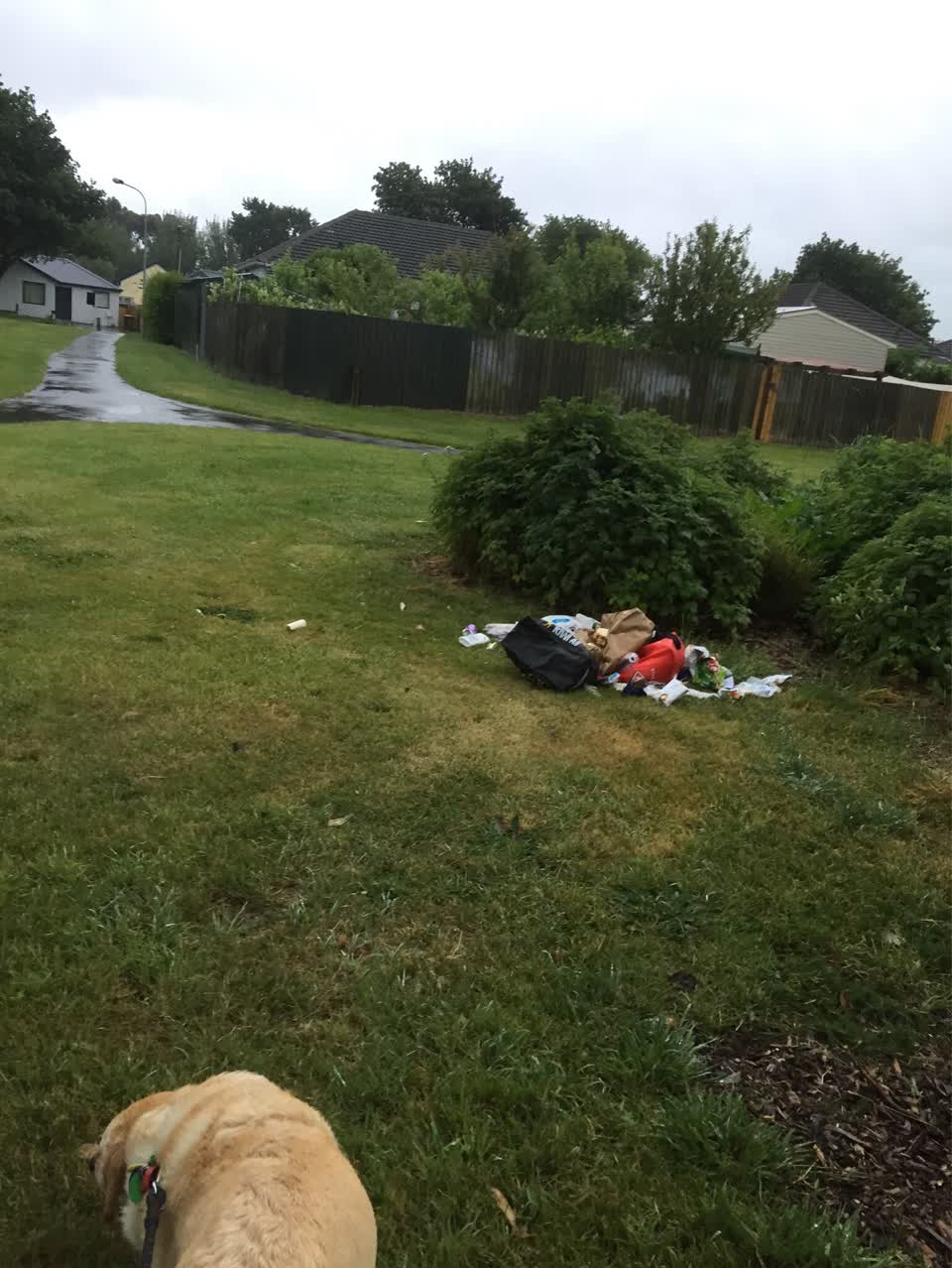 The photograph attached to this rubbish/recycling report