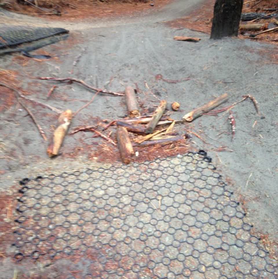 The photograph attached to this parks report