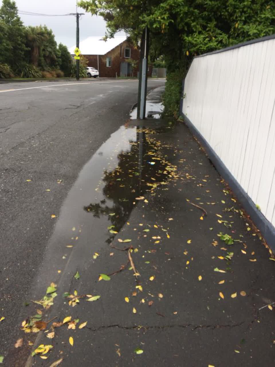 The photograph attached to this roading/streets report