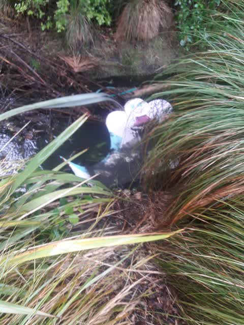 Rubbish/Recycling, a report photo