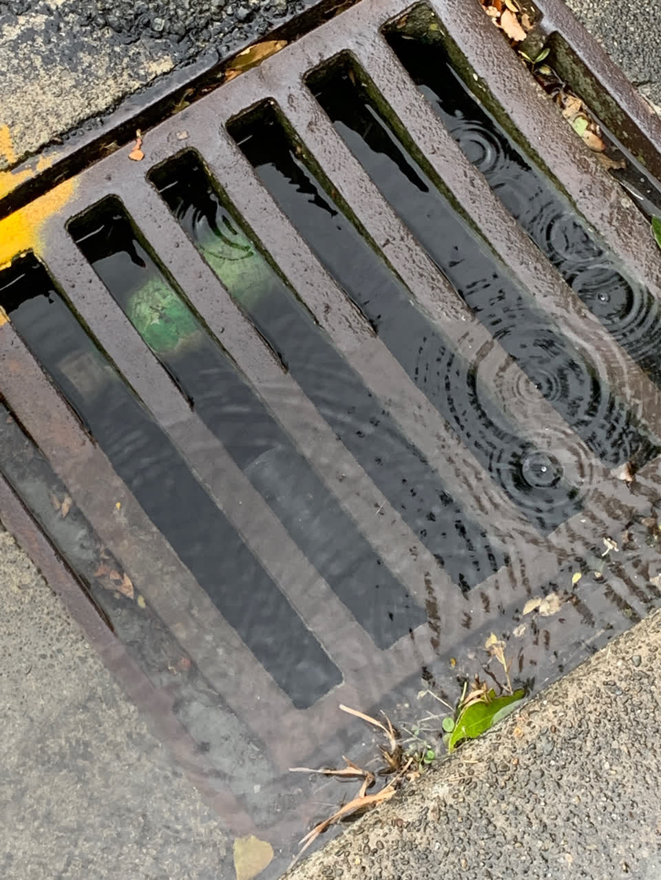 The photograph attached to this wastewater/stormwater report