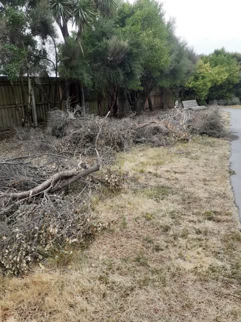 Rubbish/Recycling, a report photo