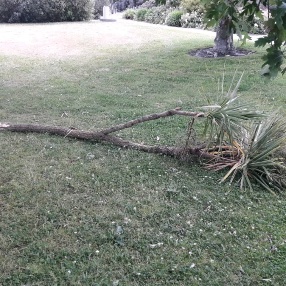 The photograph attached to this parks report