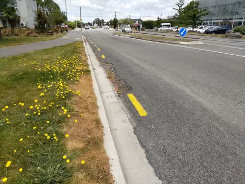 Roading/Streets, a report photo