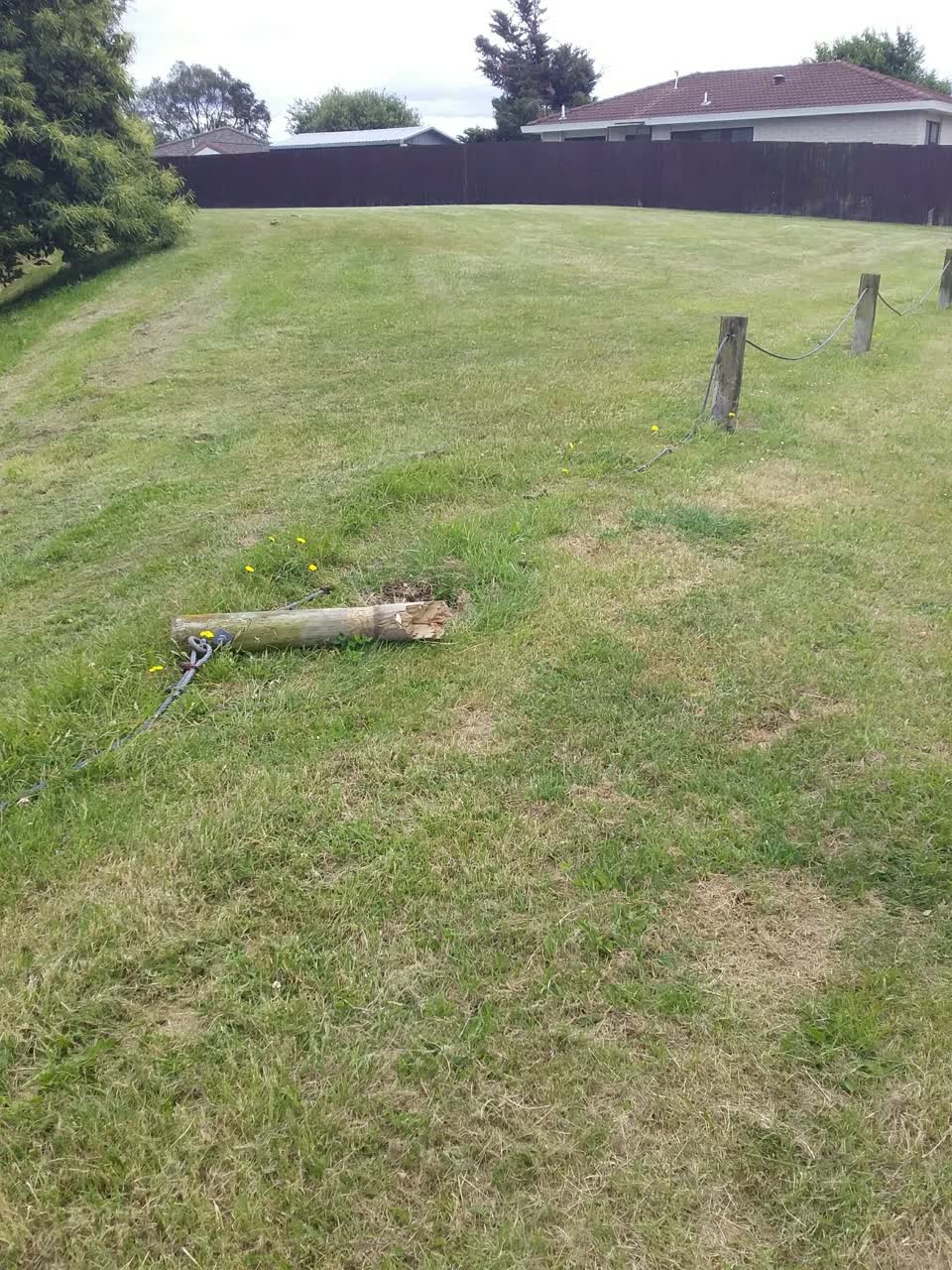 The photograph attached to this parks report