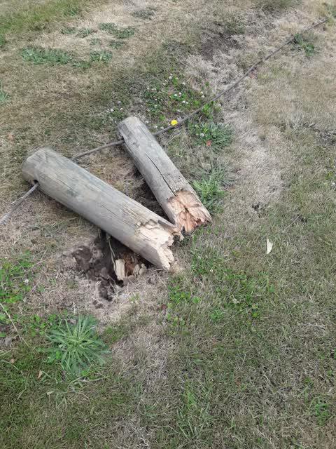 Parks, a report photo