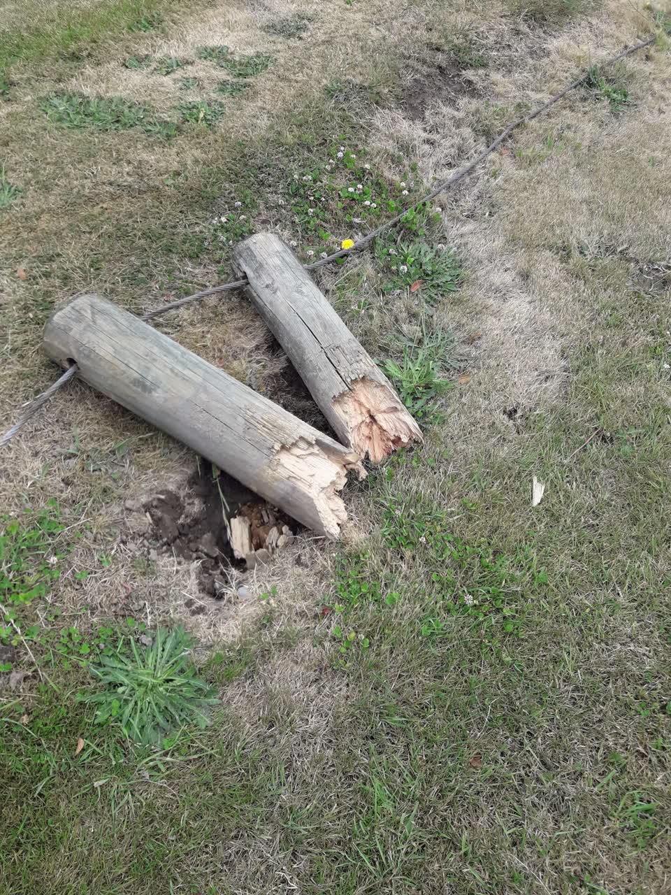 The photograph attached to this parks report
