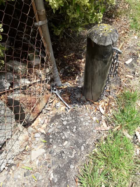 Parks — a report photo