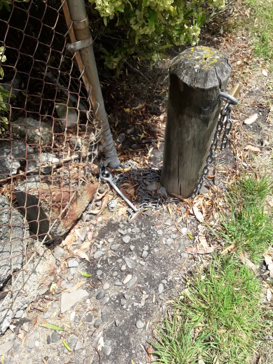 The photograph attached to this parks report