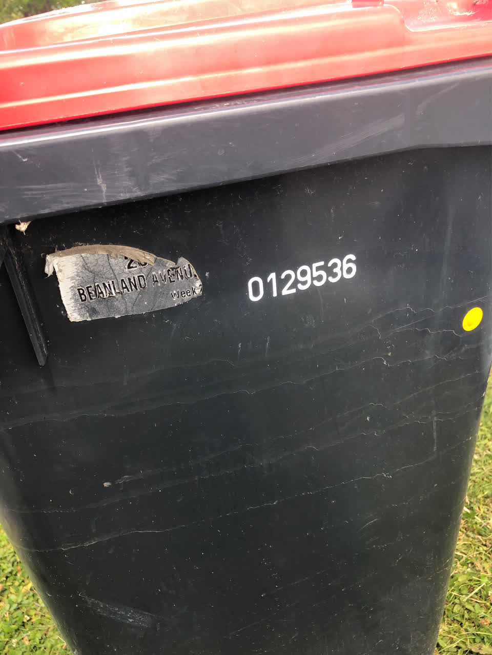 The photograph attached to this rubbish/recycling report