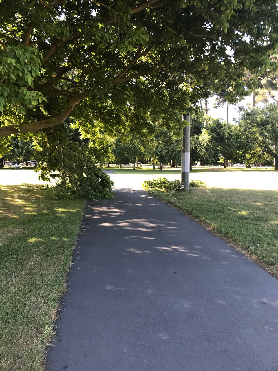 The photograph attached to this parks report