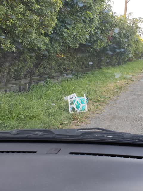 Rubbish/Recycling, a report photo