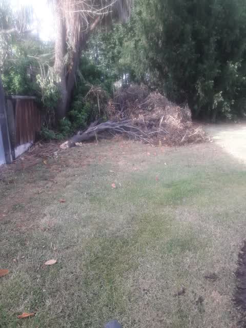 Parks, a report photo
