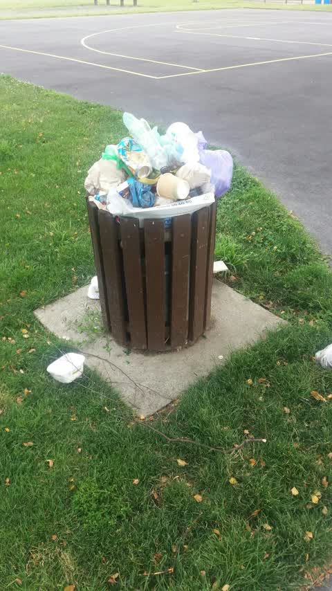 Rubbish/Recycling, a report photo