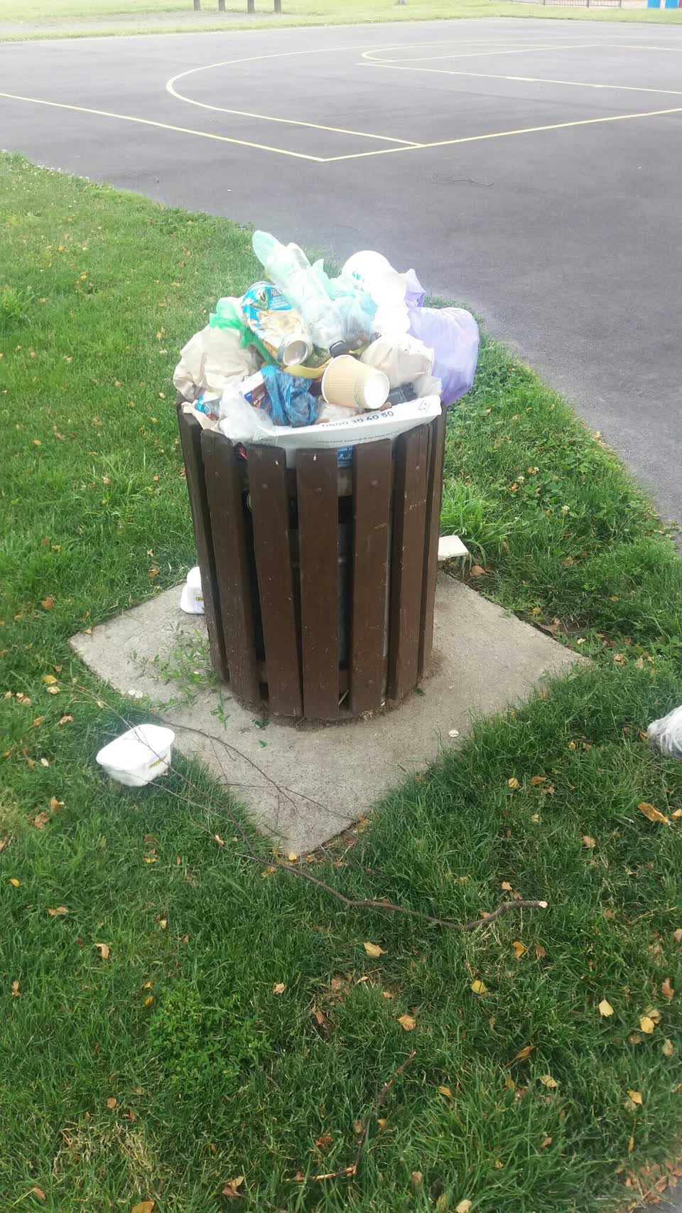The photograph attached to this rubbish/recycling report