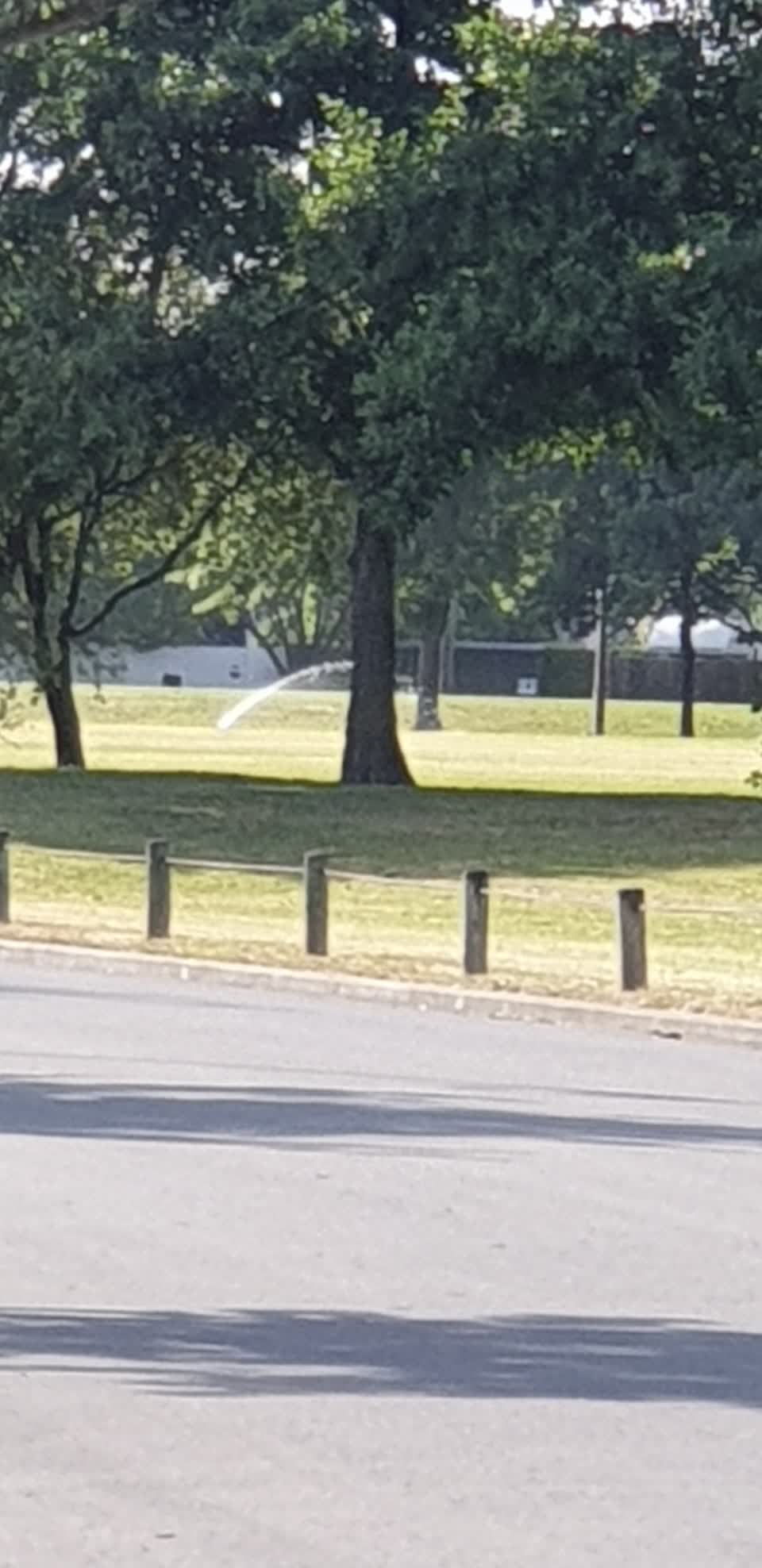 The photograph attached to this parks report