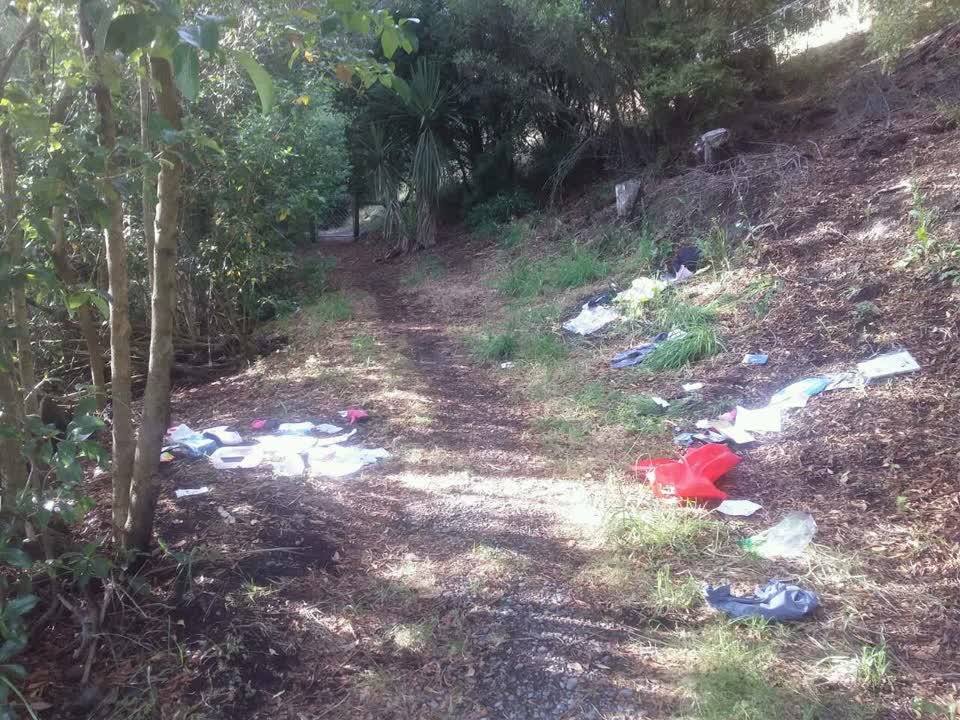 The photograph attached to this parks report