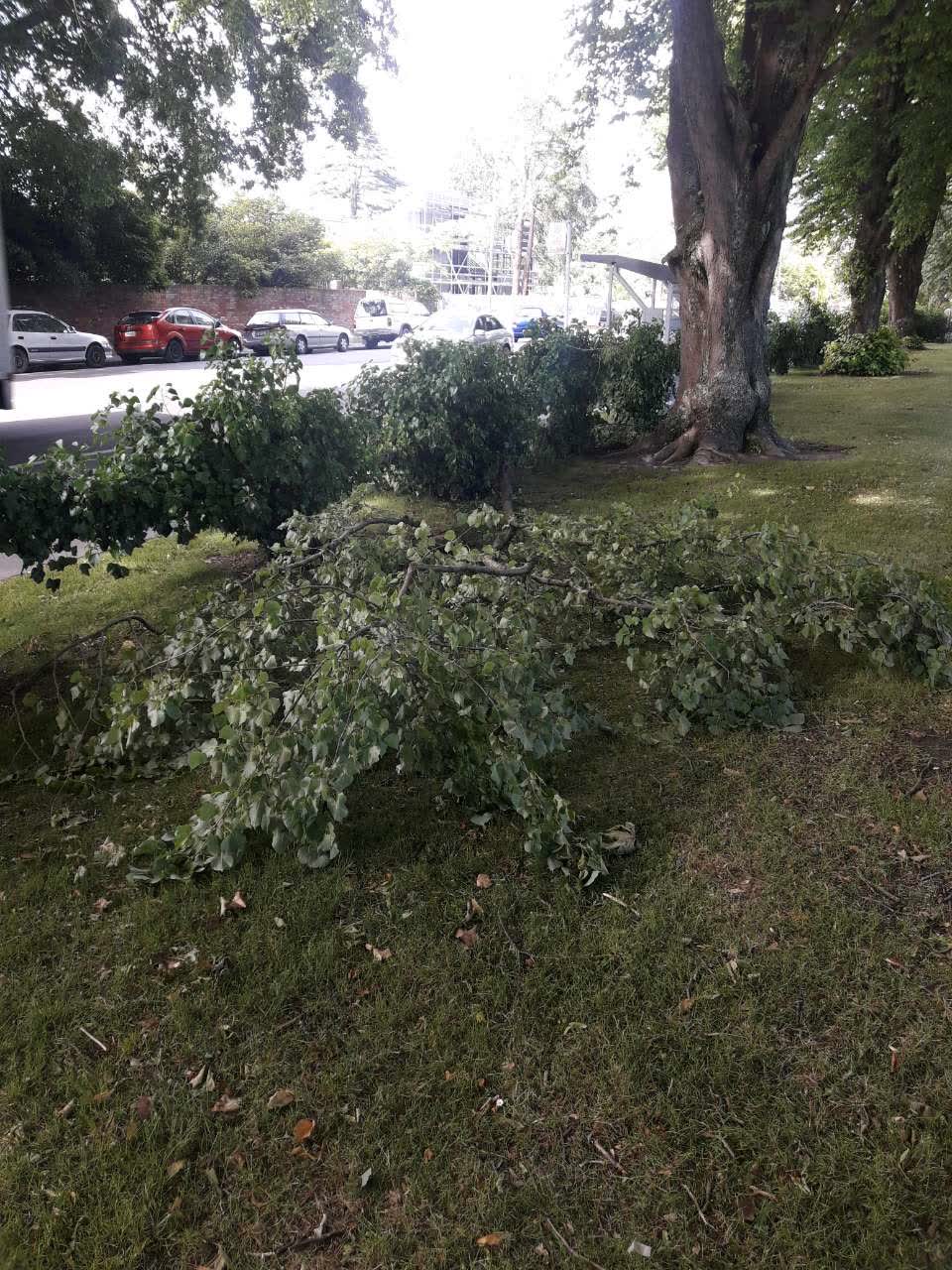The photograph attached to this parks report