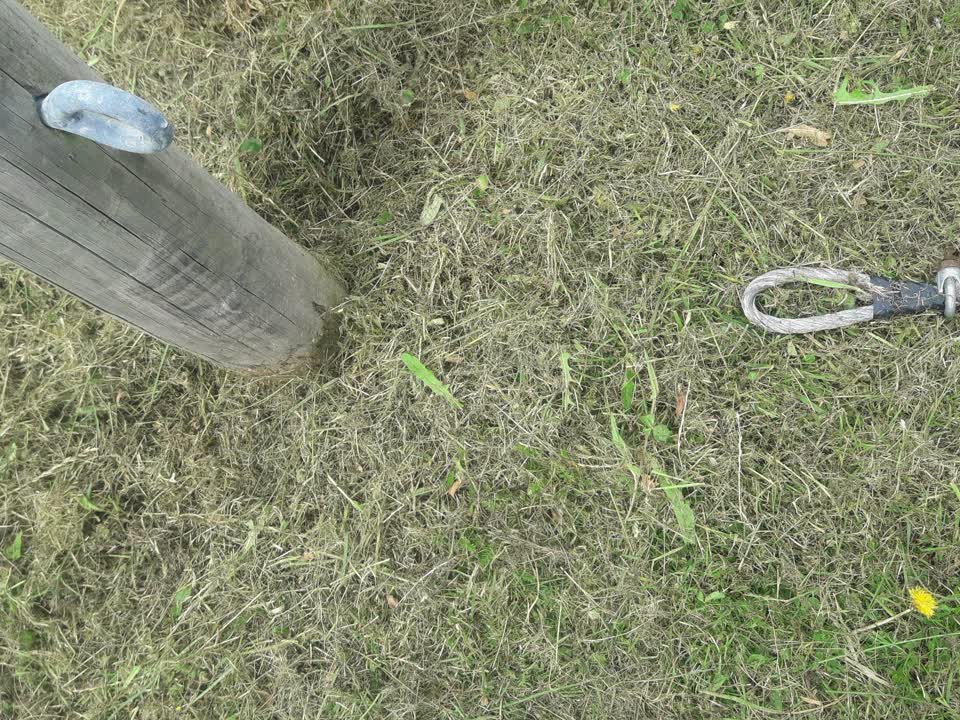 The photograph attached to this parks report