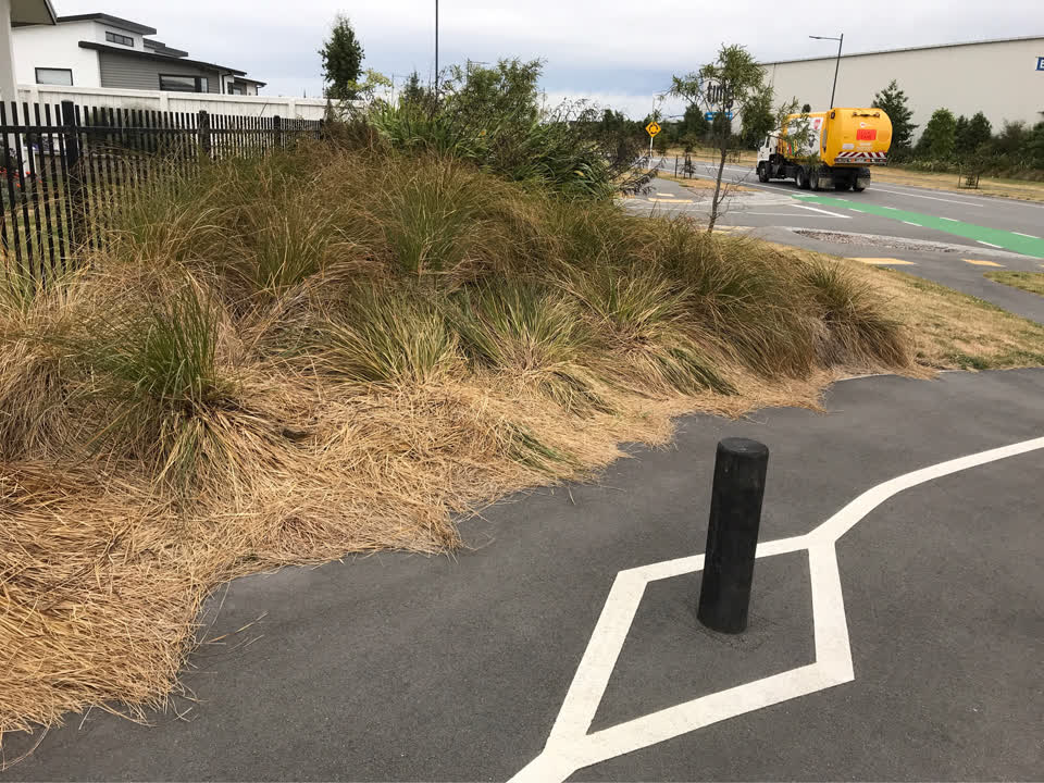 The photograph attached to this parks report
