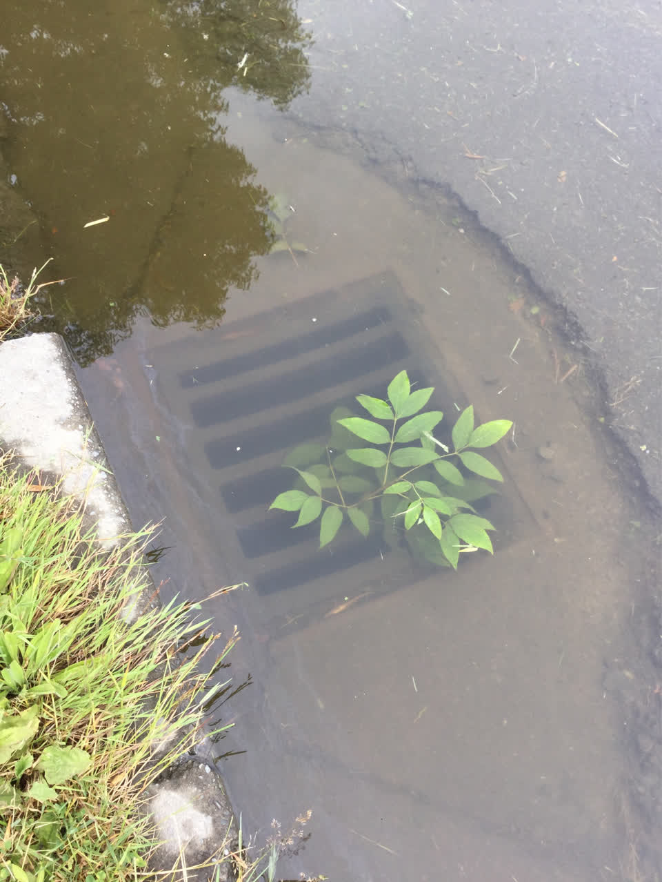 The photograph attached to this wastewater/stormwater report