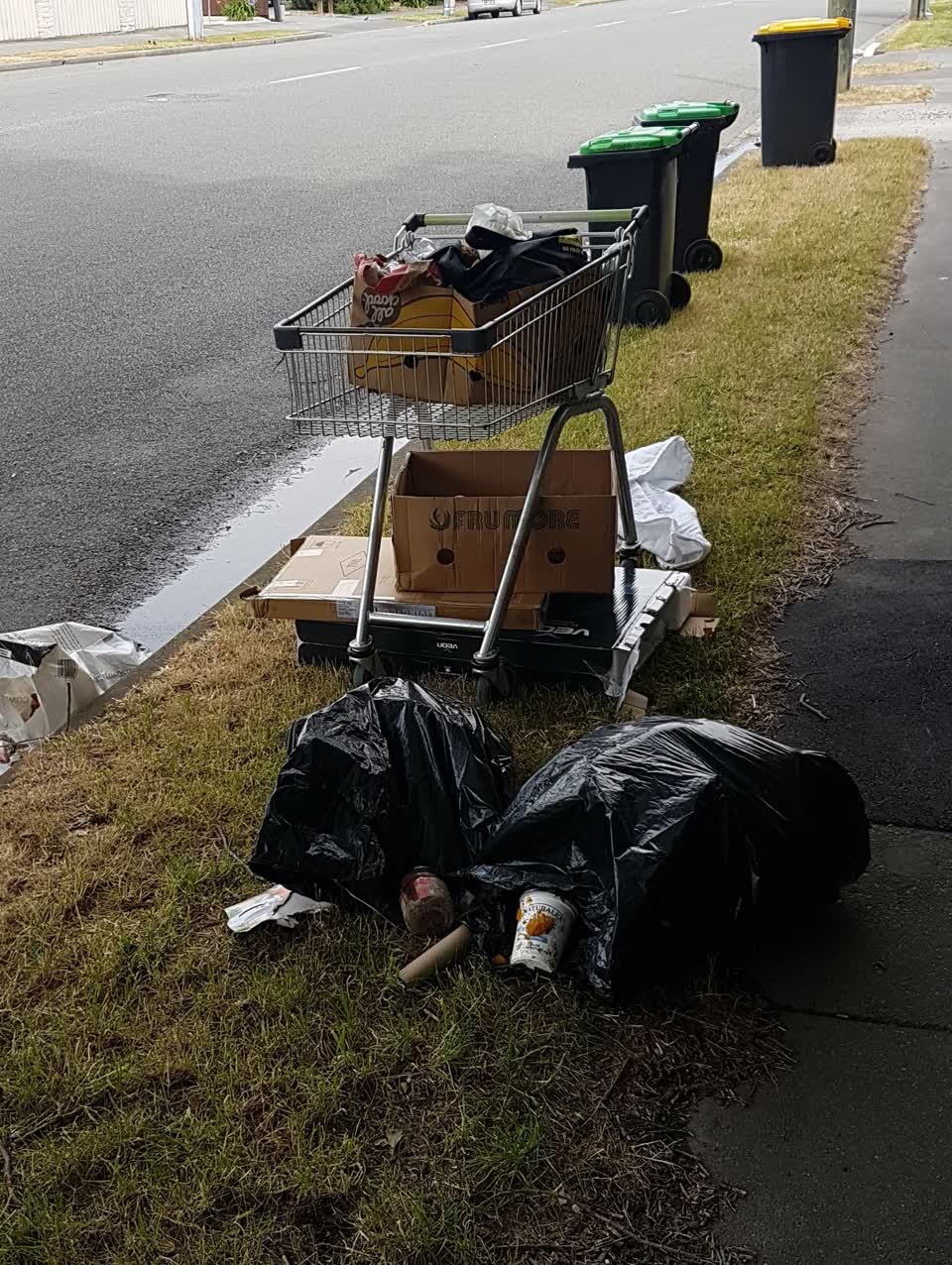 The photograph attached to this rubbish/recycling report